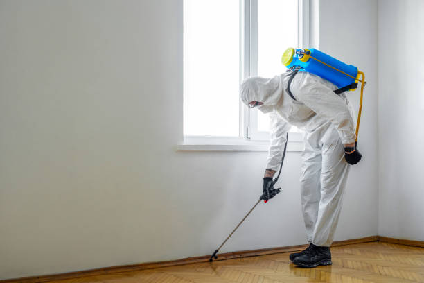 Best Commercial Pest Control  in Mulino, OR